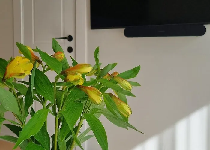 D&d 4 * פלאנגה